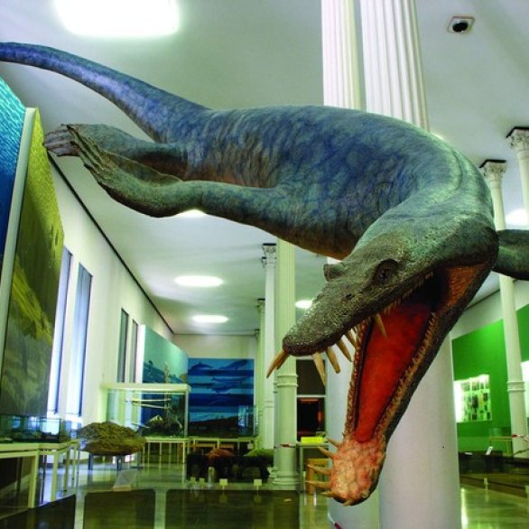 Staatliches Museum für Naturkunde Karlsruhe