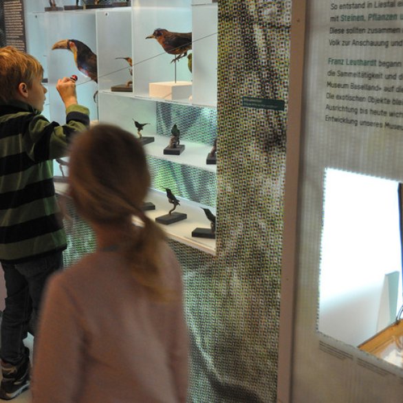 Exotische Vögel. Sammlungen Archäologie und Museum Baselland. Foto © Museum.BL