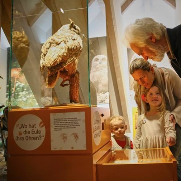 Museum im Ritterhaus