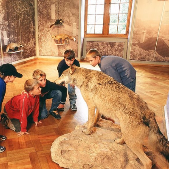 Swiss Museum of WIldlife and Hunting - Landshut Castle