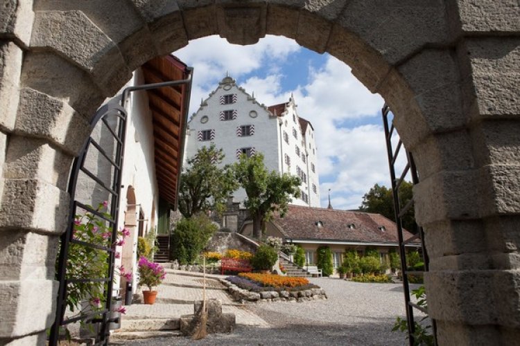 Wildegg Castle, Museum Aargau
