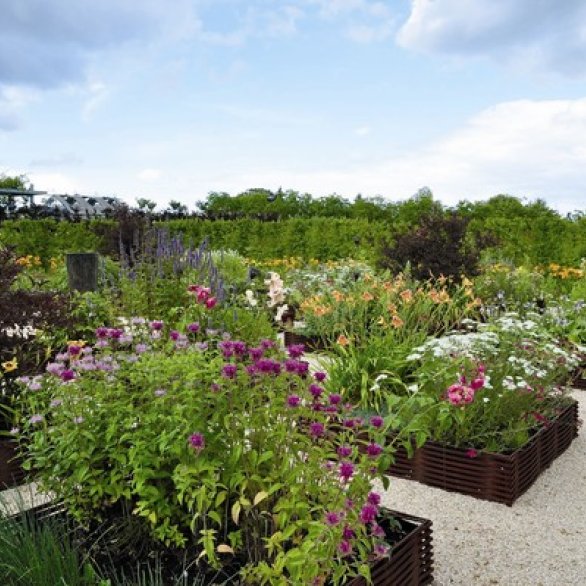 The Fruit Gardens of Laquenexy