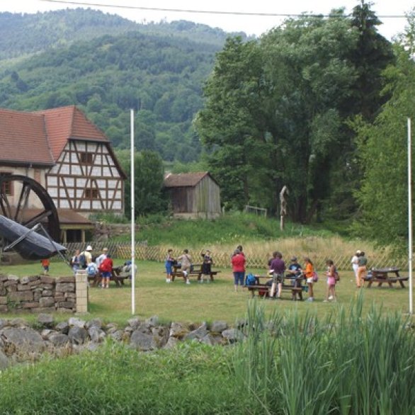 VIVARIUM DU MOULIN (Lautenbach): Ce qu'il faut savoir pour votre visite  (avec photos)