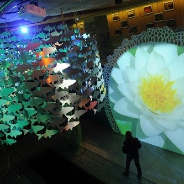 Exposition permanente "La vie au coeur des étangs"