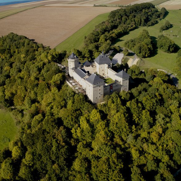 Château de Malbrouck