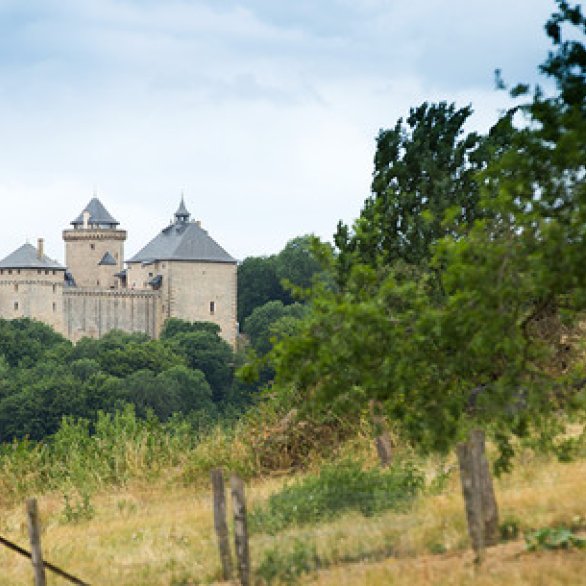 Château de Malbrouck