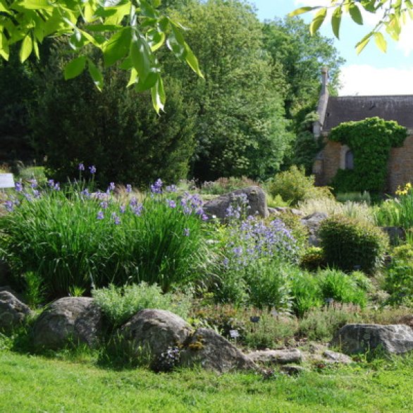 Conservatoire et Jardins botaniques de Nancy