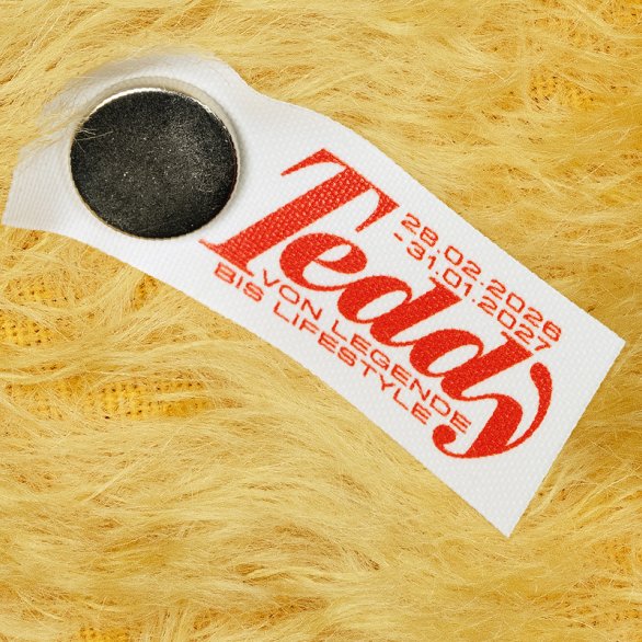 Key Visual, Teddy - Une légende entrée dans le quotidien