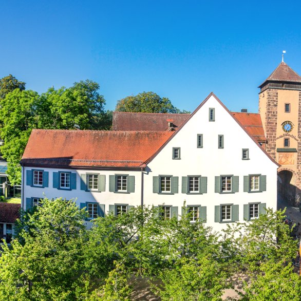 Franziskanermuseum / Keltisches Fürstengrab Magdalenenberg