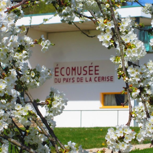 Écomusée du Pays de la Cerise