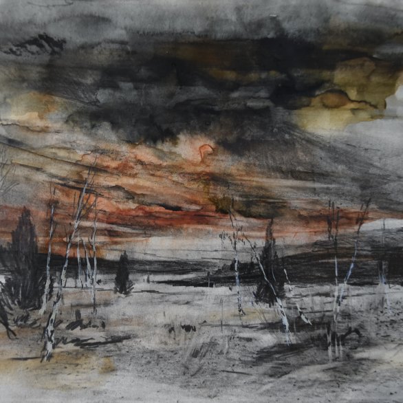 Johannes Beyerle: Sie kamen aus Schytomyr