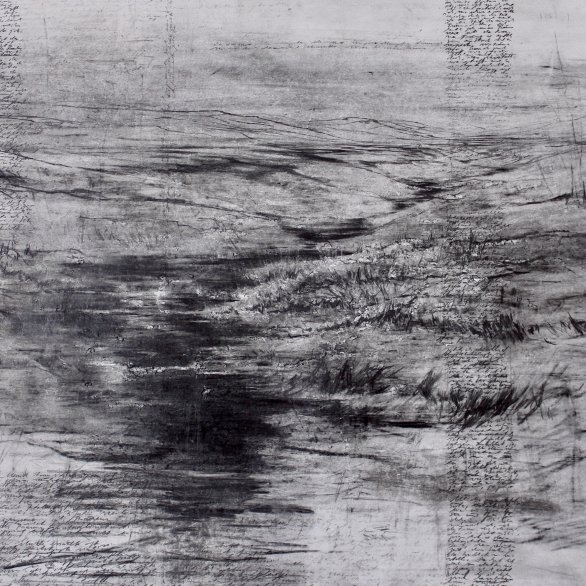 Johannes Beyerle: Sie kamen aus Schytomyr