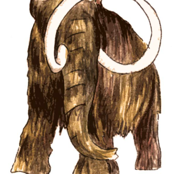 Archäologisches Museum Colombischlössle