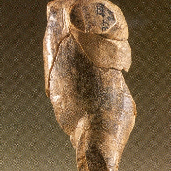 Urformen - Eiszeitkunst Europas (Bär, LM Württemberg)