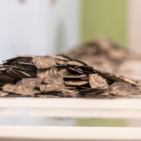 Archäologisches Museum Colombischlössle