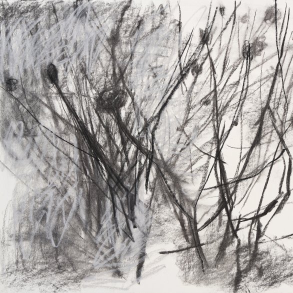 Grafik von Joachim Dietrich