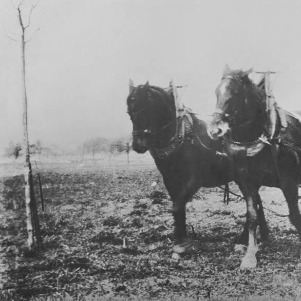 Landwirtschaftsmuseum