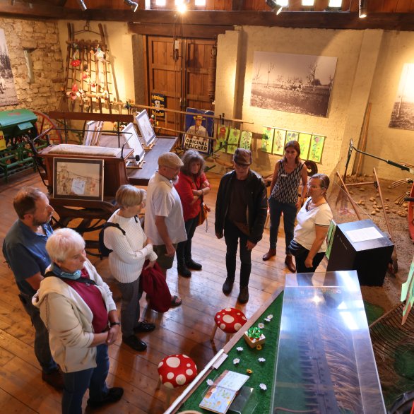 Besucher in der Dauerausstellung