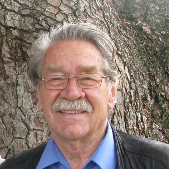 Hans Theo Baumann