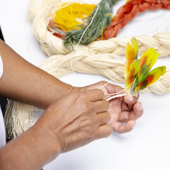 Aigle qui se recroqueville, dans les couleurs vert, noir et gris.
