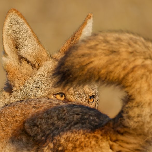 Besucher betrachtet eine Unterwasser-Naturfotografie (c) Sara Barth Besucher betrachtet eine Unterwasser-Naturfotografie (c) Sara Barth