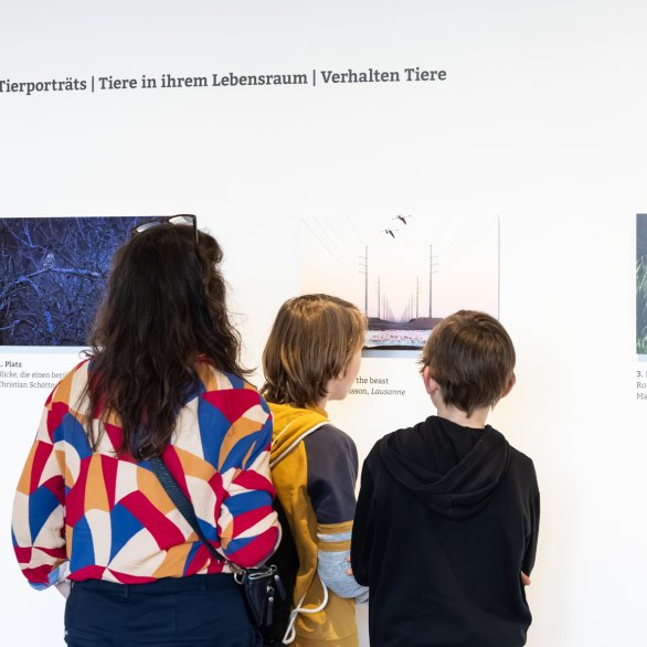 Schnappschuss-Ausstellung 2026 (c) Eva Flury