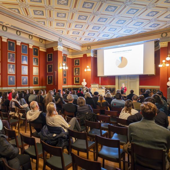 Blick in die Aula des Naturhistorischen Museums Basel (c) Jeton Shali