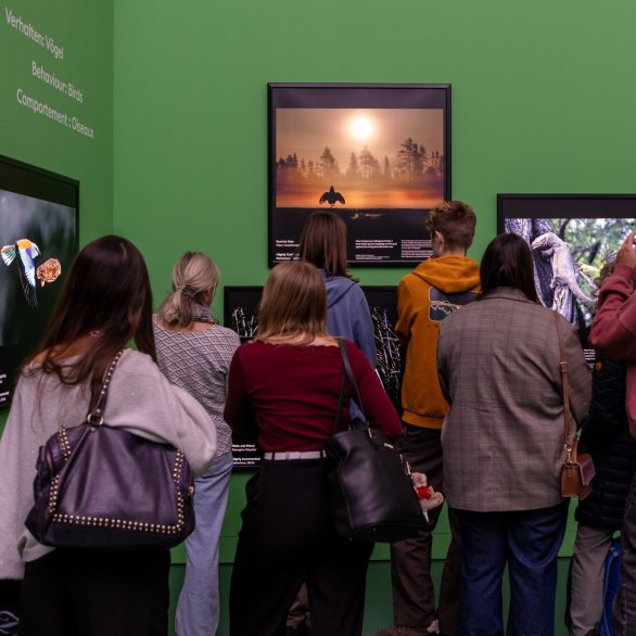 Gäste in der Ausstellung Wildlife Photographer of the Year (c) Bettina Matthiessen