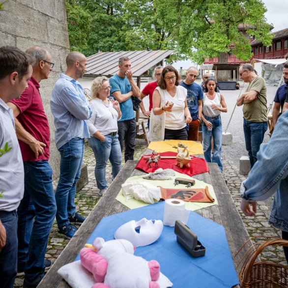 Führung mit ausgewählten Objekten durch Schloss Lenzburg