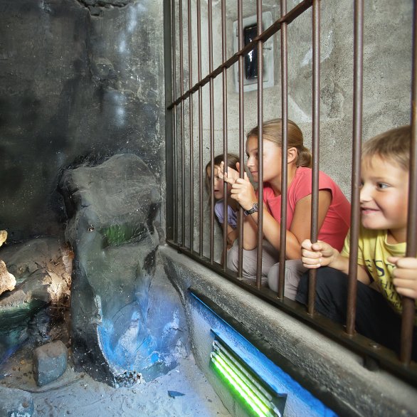 Château de Lenzbourg, Museum Aargau