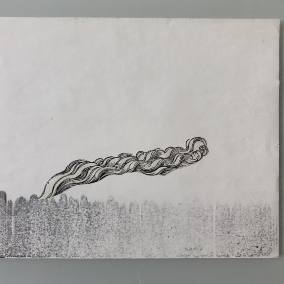 Alex Silber, Dschungelrodung – Schall und Rauch, 1971, © Alex Silber