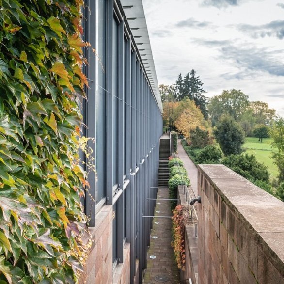 Architektur-Rundgang