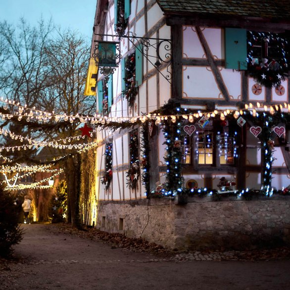 Des allées décorées pour la saison hivernale