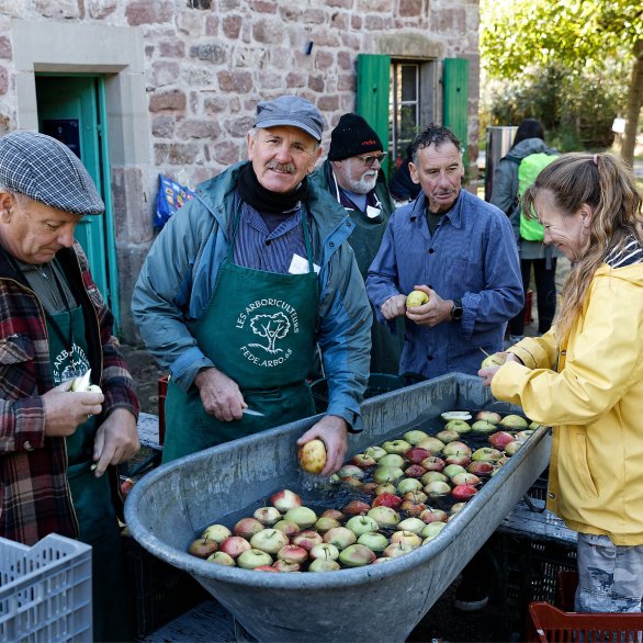 Les arboriculteurs de l'Écomusée d'Alsace lavent les pommes des vergers avant le pressage du jus