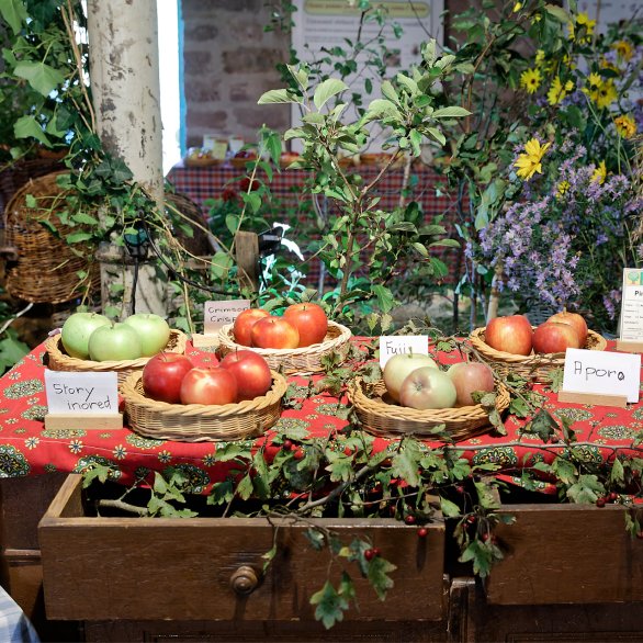 Des pommes sont exposées au Moulin de Soultz dans un décor floral chaleureux et coloré