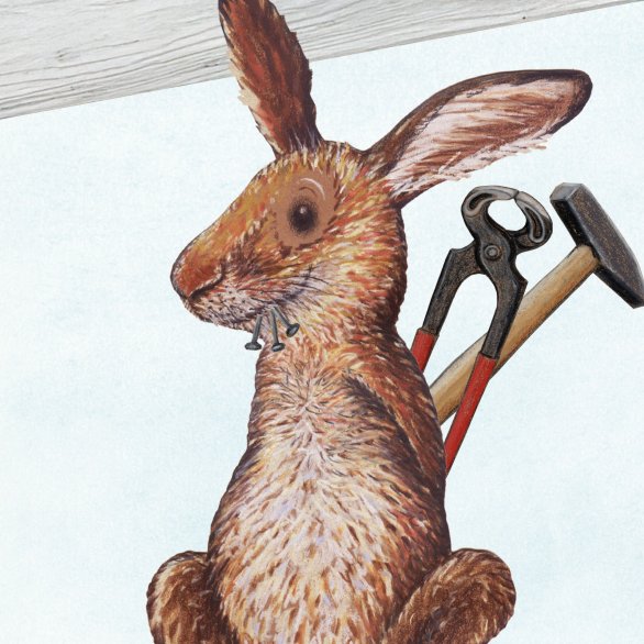 Gwunderhaas Museum.BL & KBL_Illustration, Kathrin Schärer