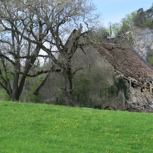 Museumsbar: Feldscheunen. Warum sie im Baselbiet entstanden