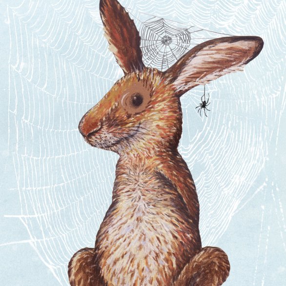 Gwunderhaas Museum.BL & KBL_Illustration, Kathrin Schärer