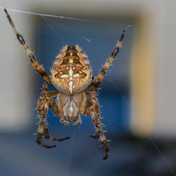 Theaterführung «Fix it!» Museum.BL