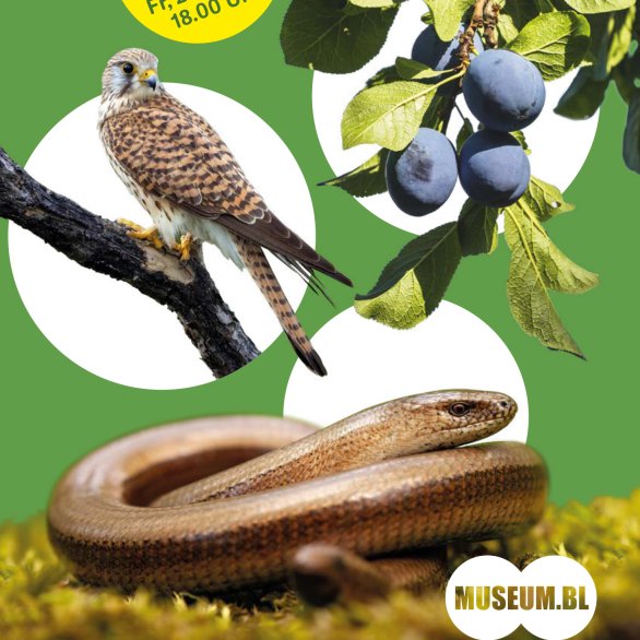 Neue Naturschätze