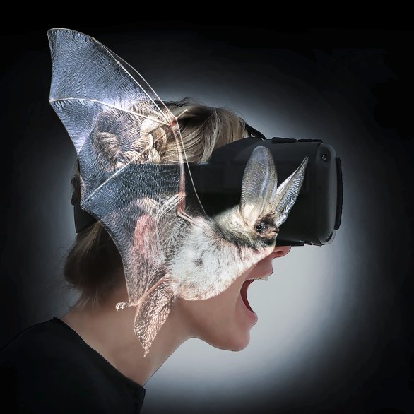 z.Vg. BATVISION