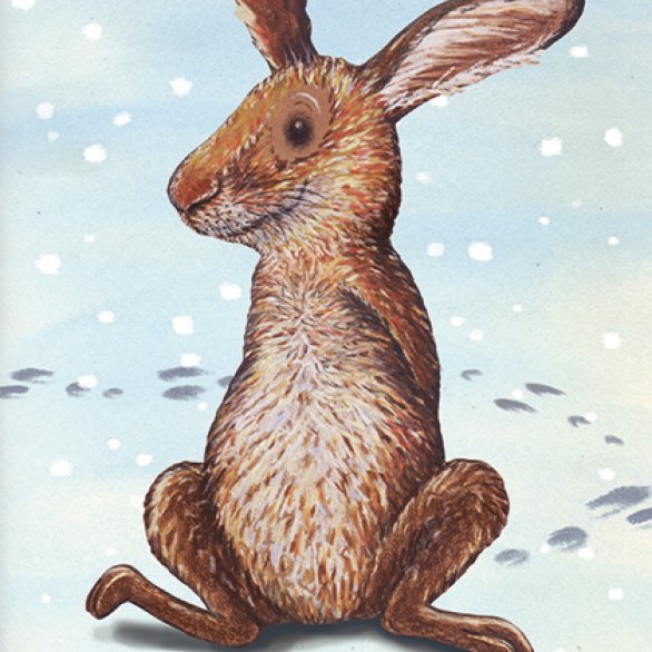 Illustration: Kathrin Schärer