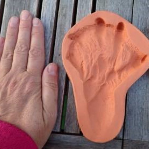 menschliche Hand im Vergleich zu Tierpfotenabdrücken in Ton