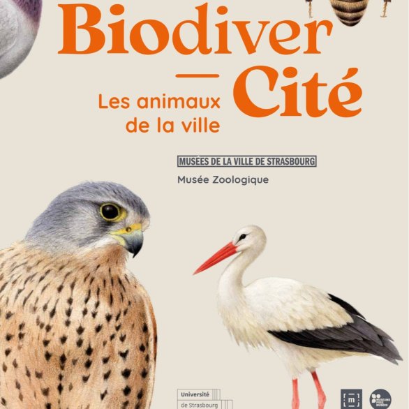 Affiche de l'exposition