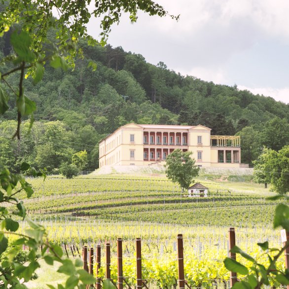 Schloss Villa Ludwigshöhe