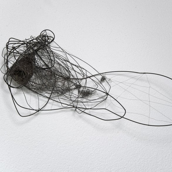 Entwickelt. Foto Wolfgang Selbach