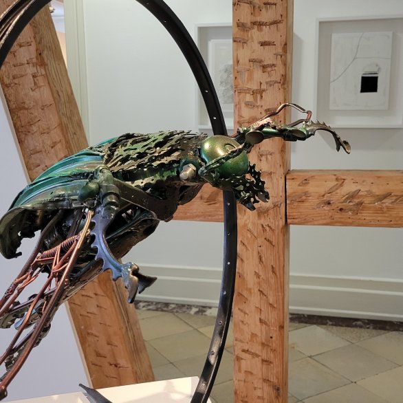 Cetonia Bicycle Aurata, 2025