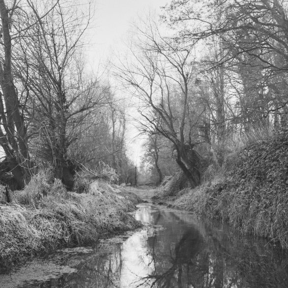 Aus der Serie "Passage"