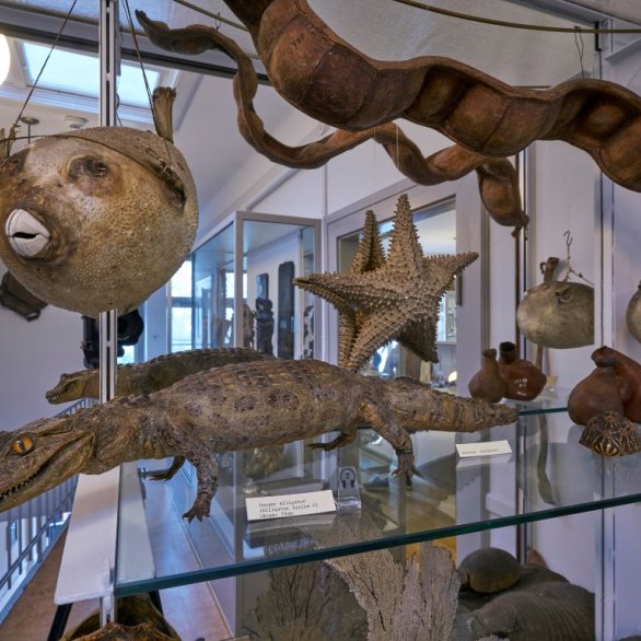 The Pharmacy Museum of the University of Basel