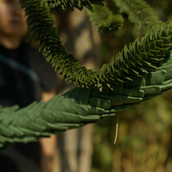 Auswüchse an einem Baum ähnlich wie ein Schuppenpanzer